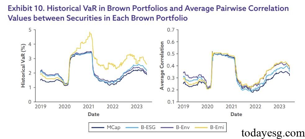 Brown Portfolios Tail Risk