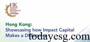 Hong Kong FSDC Report