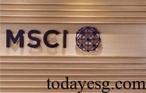 MSCI Sustainability Institute