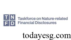 TNFD
