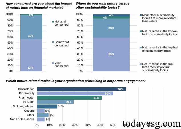 TNFD Investors Responses