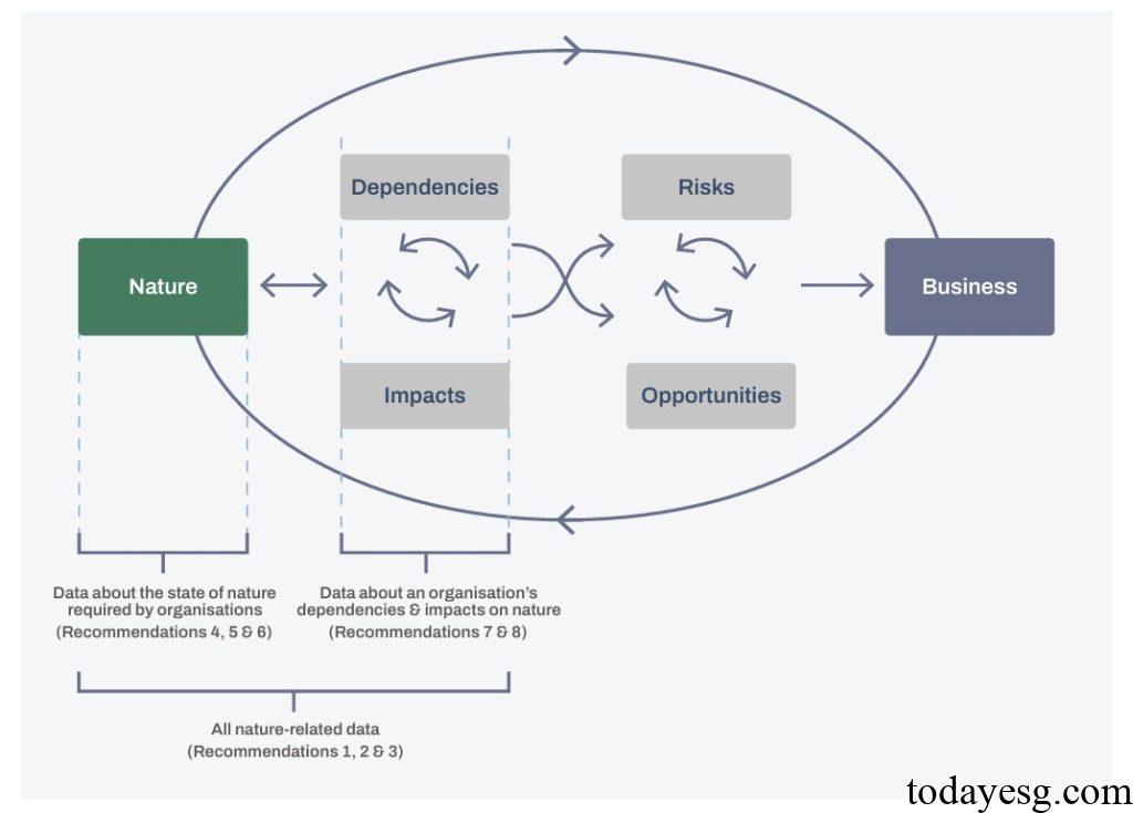 Nature Data Value Chain Recommendations