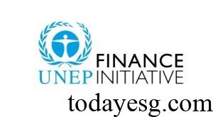 UNEP FI
