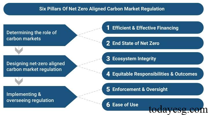 净零碳市场监管路线图介绍