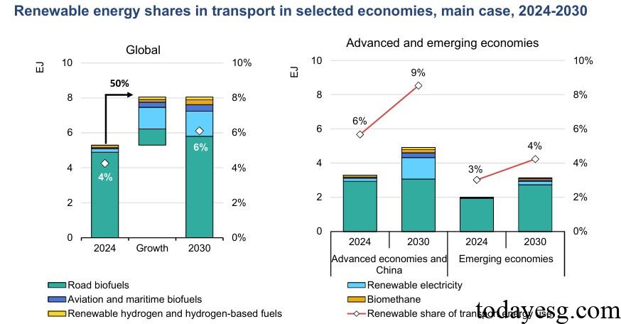 2025年可再生能源报告可再生能源与交通