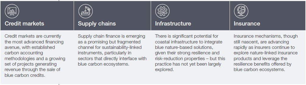 Blue Carbon Ecosystem Financing Paths
