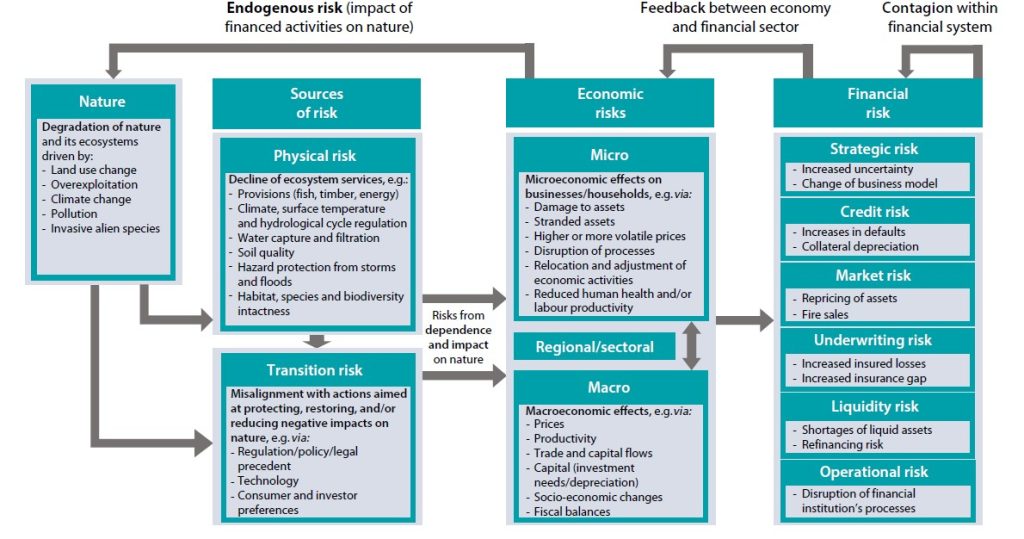 Nature-related FInancial Risks Transmission Channels