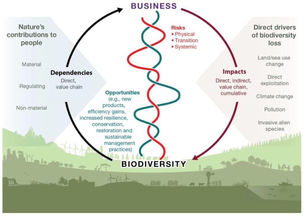 企业与生物多样性之间的关系